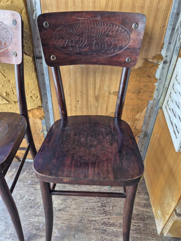 2 sedie Thonet